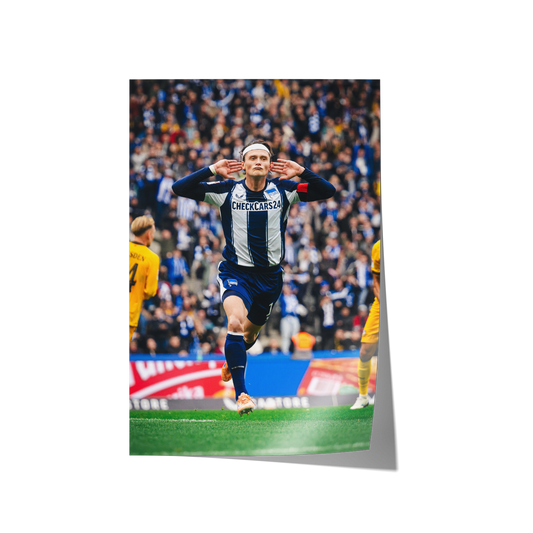 Fabian Reese - Torjubel